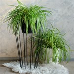 Подставка для цветов 66-401