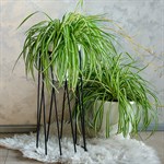 Подставка для цветов лофт 66-406