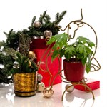 Декоративная подставка для цветов