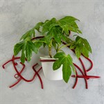 Подставка для цветов 15-854 15-854-Red - фото 63696