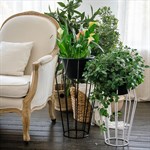 Подставка для цветов лофт 66-401 66-401 - фото 63969