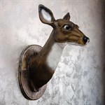 Настенное панно