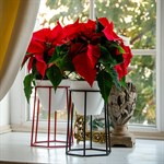 Цветочница в стиле лофт