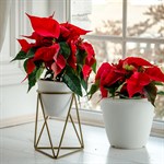 Подставка для цветов лофт 66-602 металлическая d=12см 66-602 - фото 64194