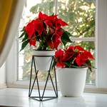 Подставка для цветов