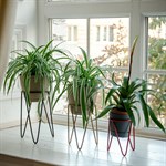 Подставка для цветов в стиле лофт