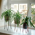 Подставка для цветов в стиле лофт