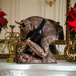 Винница Бык