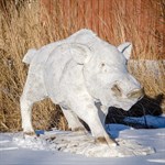 Садовая фигура Кабан U07717 - фото 66311