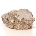 Кашпо для цветов Ракушка F08875 F08875 - фото 67014