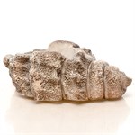 Кашпо для цветов Ракушка F08875 F08875 - фото 67016