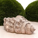 Кашпо для цветов Ракушка F08875 F08875 - фото 67019