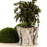 Садовое кашпо