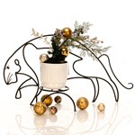 Цветочница тигр