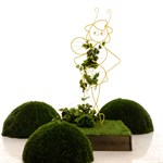 Шпалера для винограда