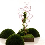 Кованая шпалера для растений