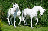 Садовая фигура конь Садовая фигура конь