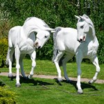 Парковая фигура конь