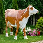 Фигура Корова