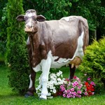Фигура для сада Корова