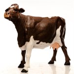 Фигура Корова U08963-1