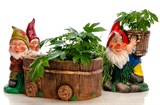 Кашпо для цветов Гном с кадкой F08846