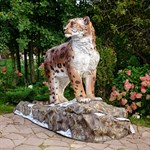 Снежный барс U08983