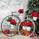 Подставки для цветов