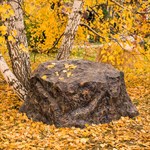 Декоративная крышка люка Декоративная крышка люка