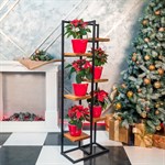 Этажерка кованая 66-707