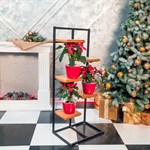 Кованая этажерка 66-711