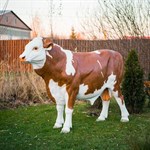 Декоративная фигура бык