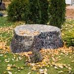 Крышка U07968 для люка Крышка U07968 для люка