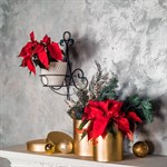 Подставка настенная для цветов 15-431 Подставка настенная для цветов 15-431