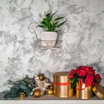 Настенная подставка для цветка купить Настенная подставка для цветка купить