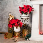 Напольная стойка для цветов 25-011