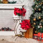 Напольная стойка для двух растений 25-011