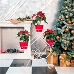 Подставка 11-003-WG на 3 цветка