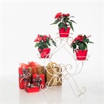 Подставка  для растений кованая 11-003-WG