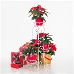 Подставка напольная 11-033-WG