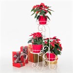 Подставка металлическая напольная для растений купить