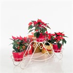 Подставка кованая для цветов 11-013-WG