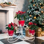 Напольная подставка для растений 11-103-WG