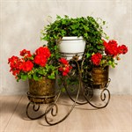 Подставка напольная  11-103 купить Подставка напольная  11-103 купить