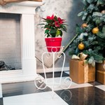 Цветочница для одного растения 11-121-WG