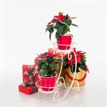 Кованая подставка для 2 растений 11-012-WG