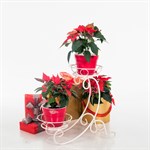 Подставка металлическая  для 2 цветков 11-012-WG