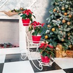 Подставка для цветов  металлическая 70-344-WG