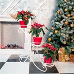 Подставка для цветов 70-344-WG