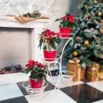 Кованая подставка для цветов 70-344-WG